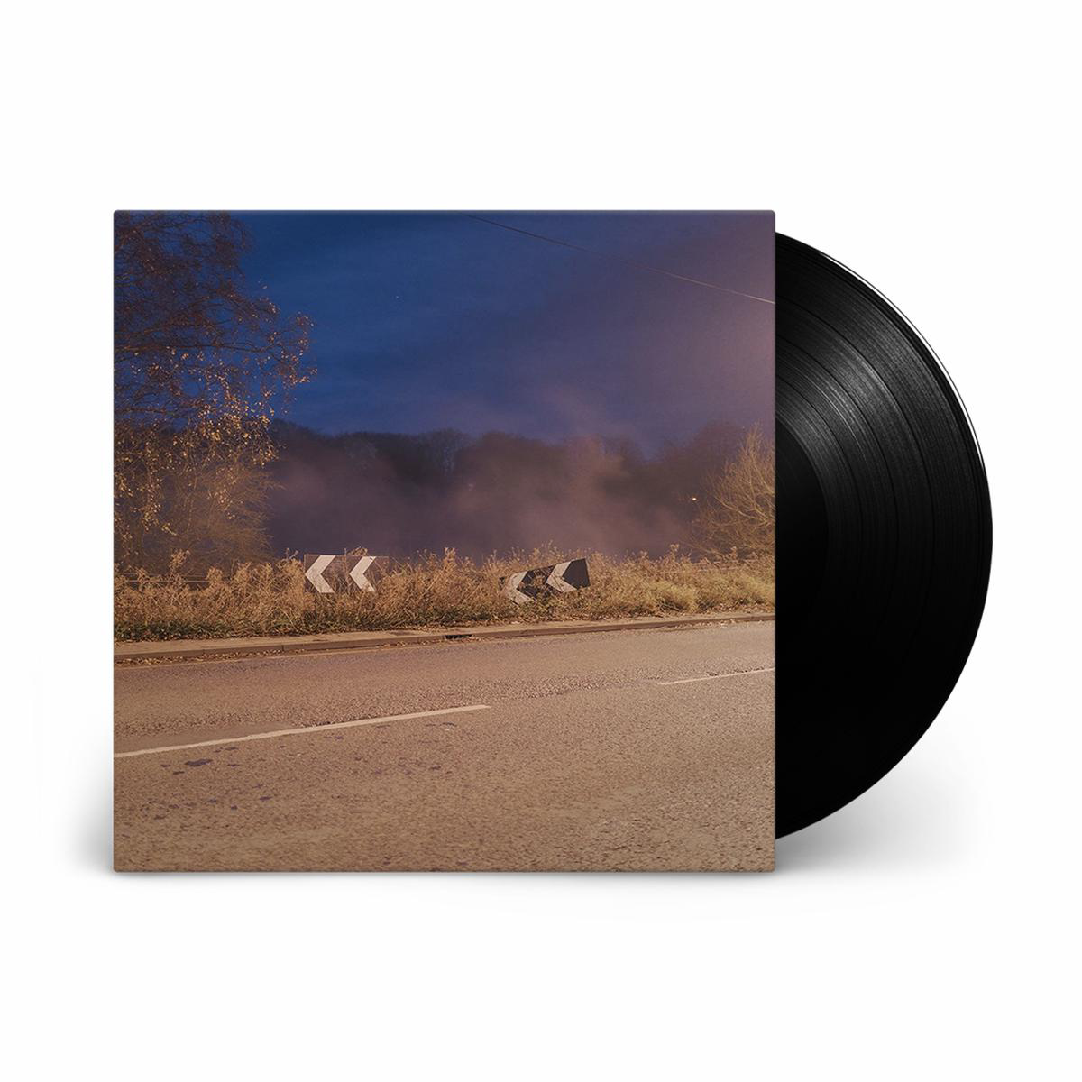 Models Vinyl LP