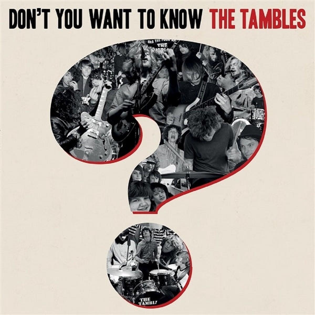 the Tambles - Don't You Want To Know the Tambles? (LP)