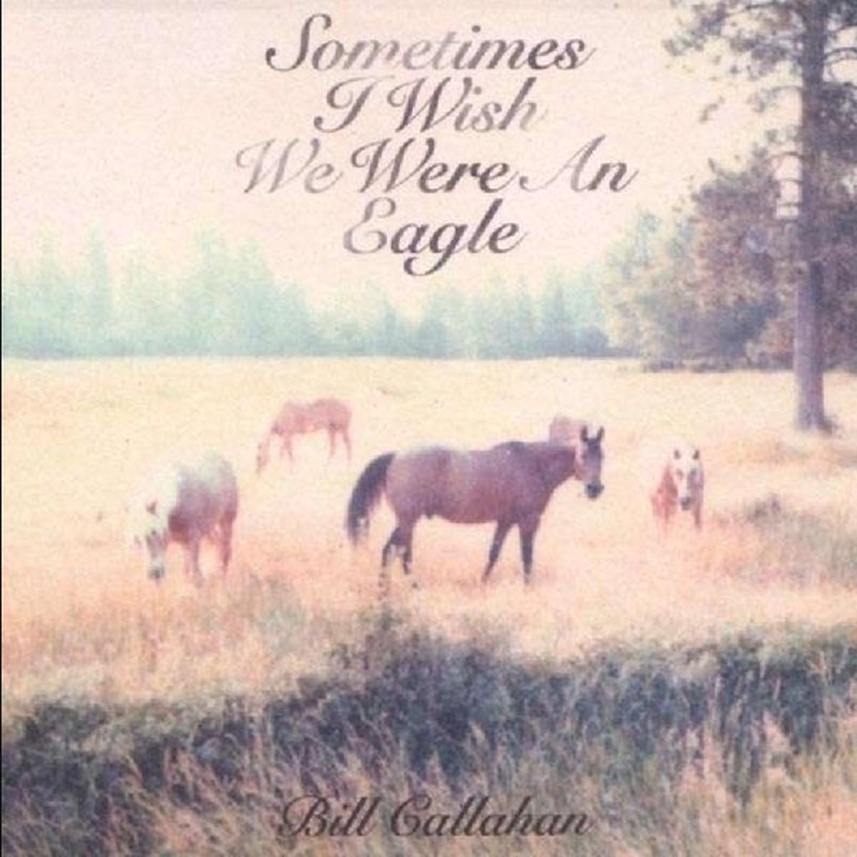 Bill Callahan - Sometimes I Wish We Were (LP)