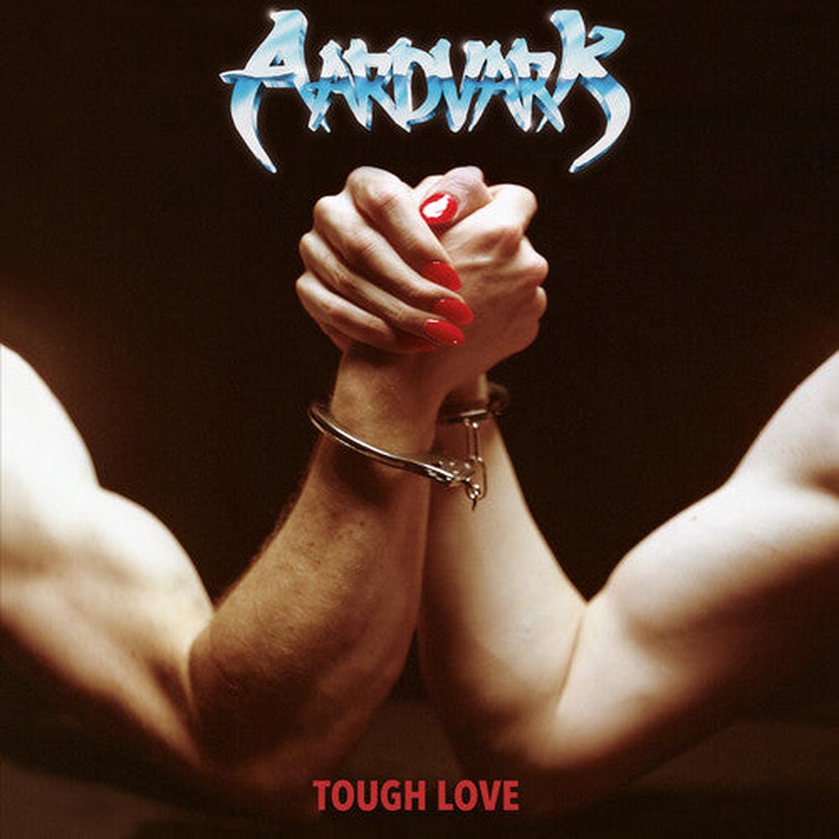 Aardvark: Tough Love - VINYL LP
