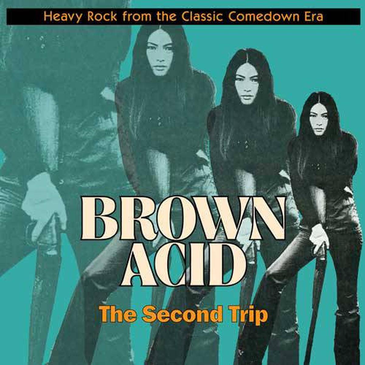 VARIOUS 8211 BROWN ACID ELEVENTH TRIP (COLOURED) 8211 LP