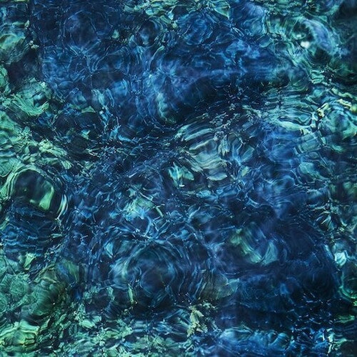 Ichiko Aoba: Luminescent Creatures - Limited - VINYL LP