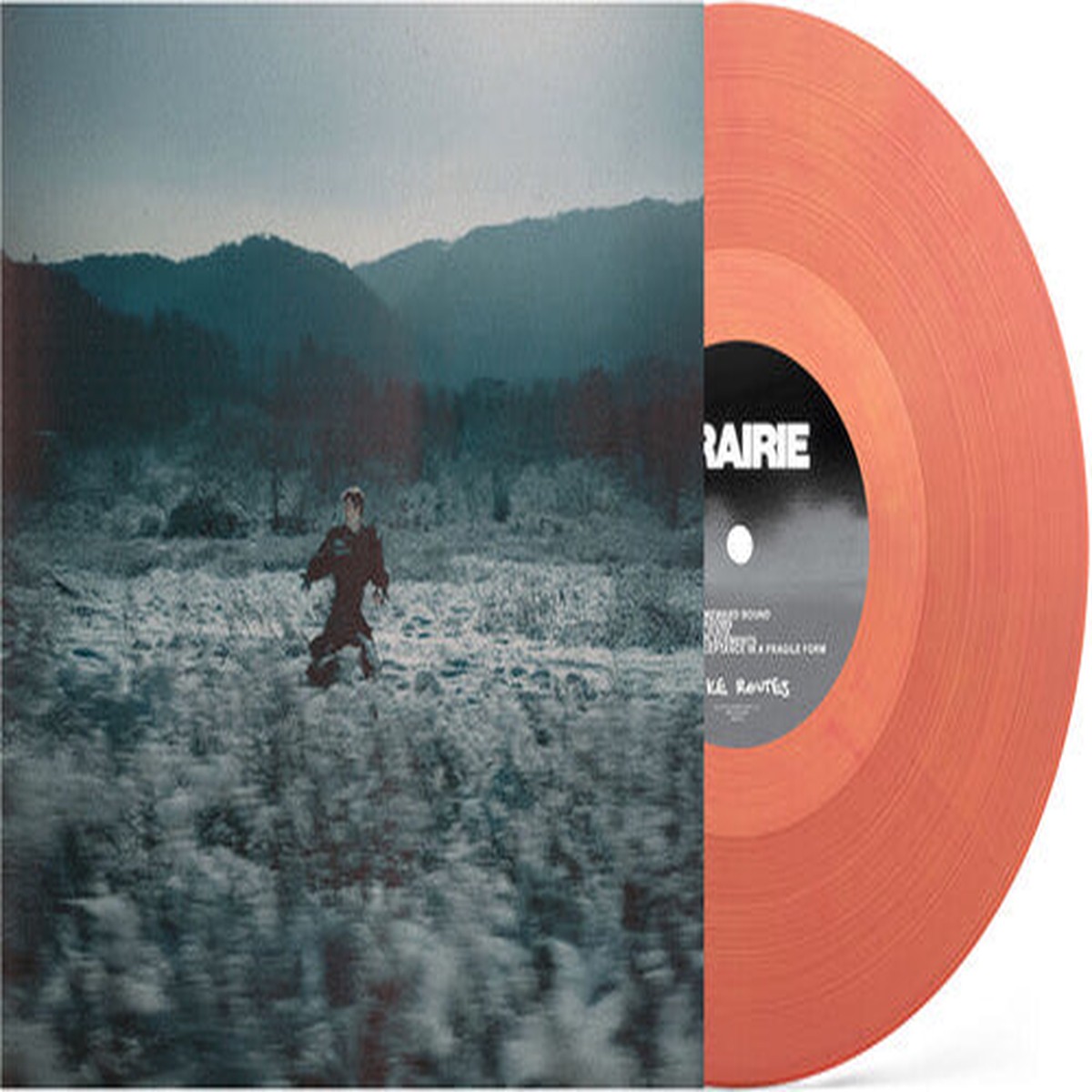 Bike Routes: Prairie - VINYL LP