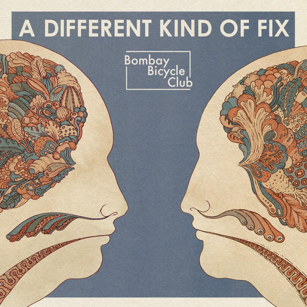 A Different Kind Of Fix Vinyl LP
